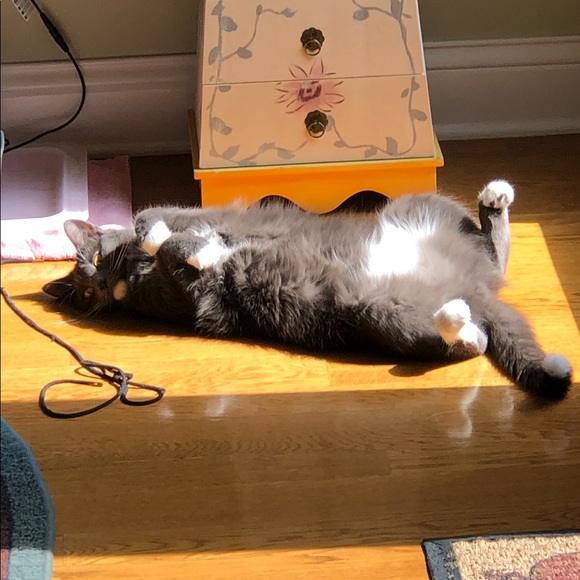 Fiona, My Posh Helper - Picture 7 of 10